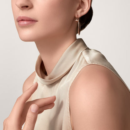 [Luna Brilliance] JUSTE HALF DIAMOND LARGE EARRINGS
